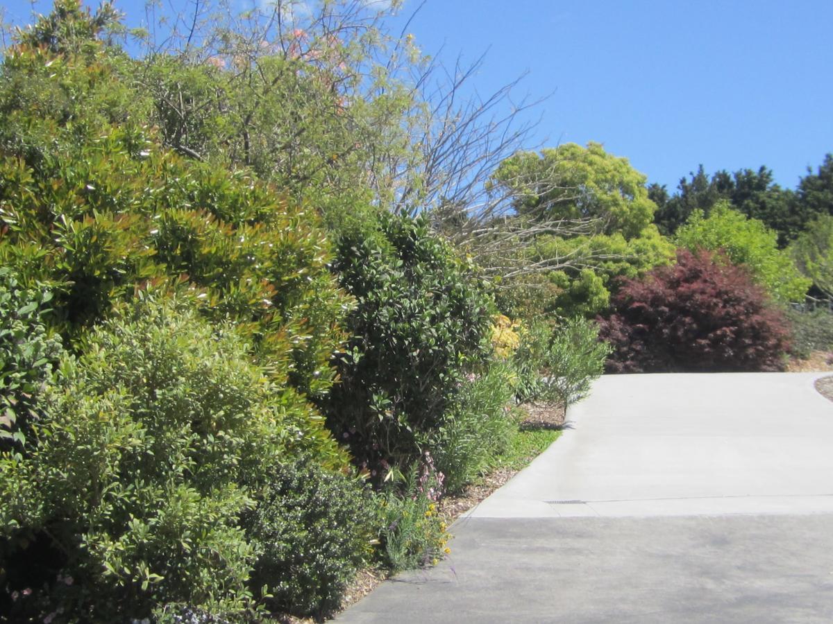 Hyecroft Lodge Whangarei Ngoại thất bức ảnh